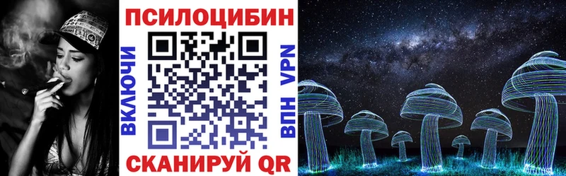 Галлюциногенные грибы Psilocybe  Купить где  Берёзовский 